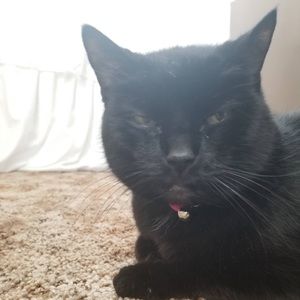 Meet your Posher, Patricia